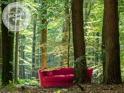 Composing: Ein rotes Sofa im Wald.