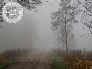 Originalbild: Weg am Moor an nebligem Morgen. Originalbild: Weg am Moor an nebligem Morgen.