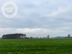 Bild mit steiler Gradation. Bild mit steiler Gradation.