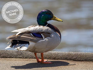 Bild mit normalen Lichtern.