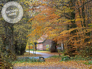 Vor der Fotomontage: Ein schönes Herbstbild. Vor der Fotomontage: Ein schönes Herbstbild.