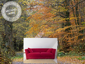Vor der Bildretusche: Ein rotes Sofa im Herbst Vor der Bildretusche: Ein rotes Sofa im Herbst
