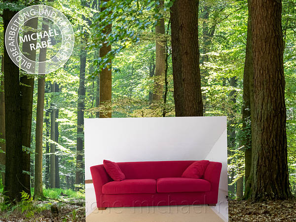 Vor der Bildretusche: Ein rotes Sofa im Wald