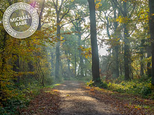 Vor der Fotomontage: Originalbild 1