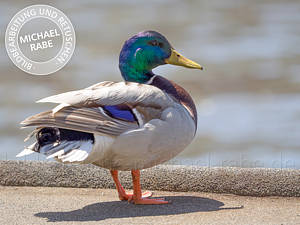 Bild zu hellen Tiefen.